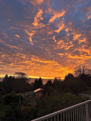 Vista desde la propiedad