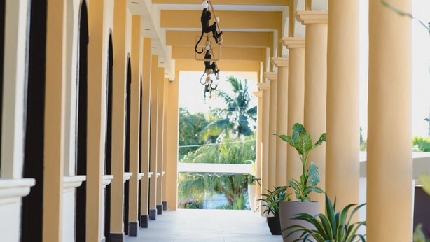 A corridor with columns, potted plants, and hanging decorations. - Hotel & Brunch Lirio de los Valles (Flores)
