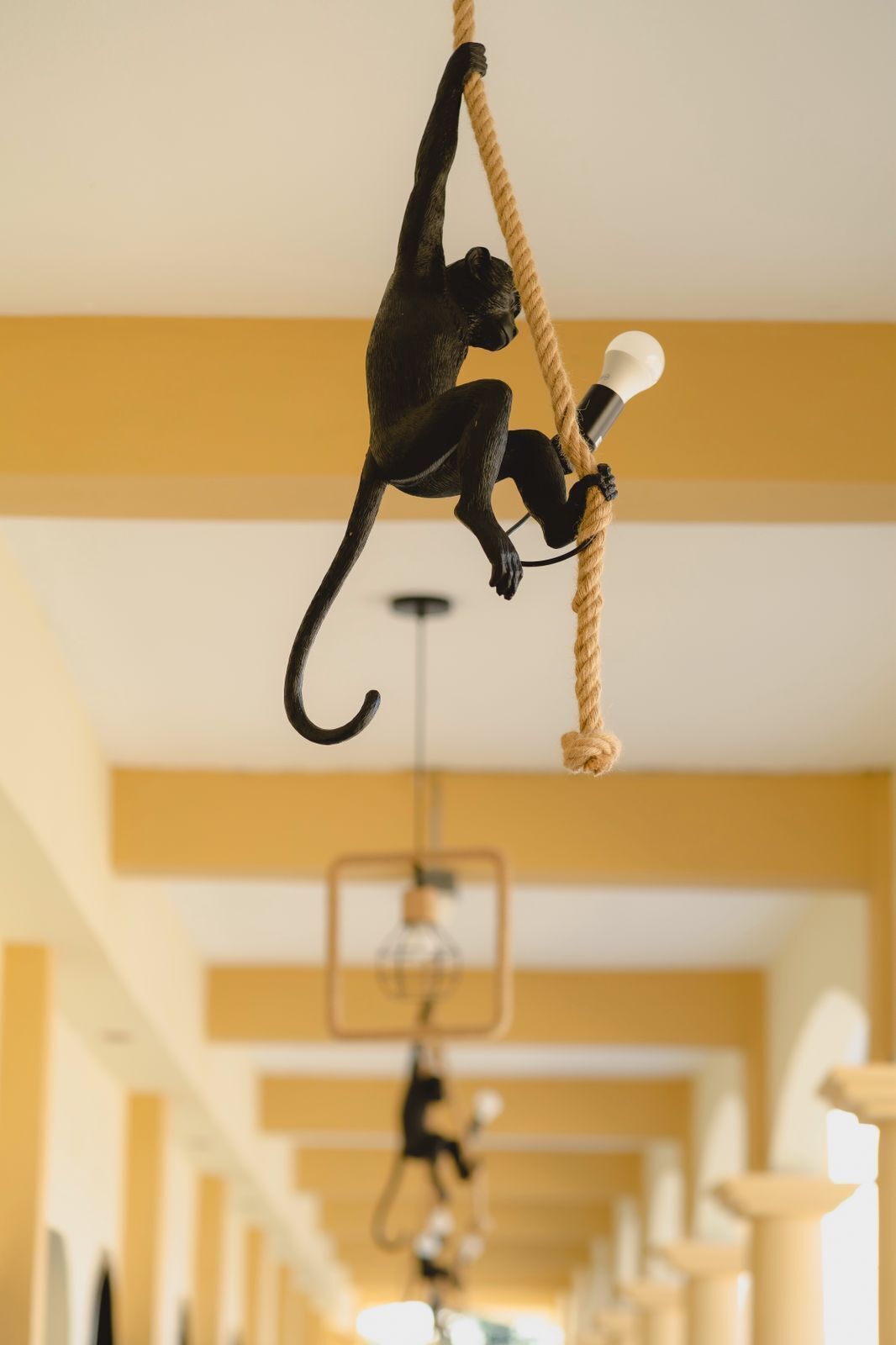 Een aap klimt een touw in een gang met een hangende lamp.