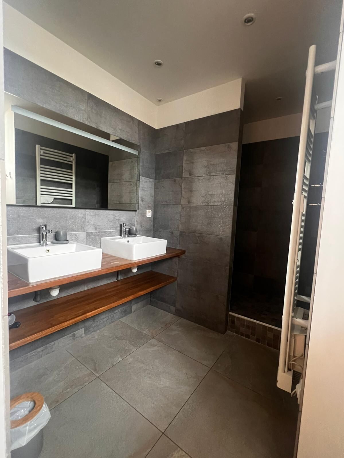 Shower, hair dryer, toilet paper