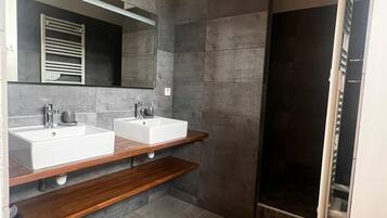 Shower, hair dryer, toilet paper
