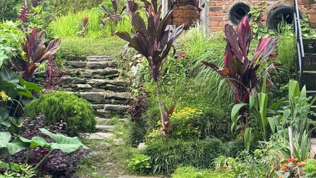 A garden with a stone pathway leading to a rustic building with a sloped roof and a lattice structure. - Chipaskot Spot (Pokhara)