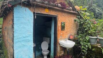 Jabón, shampoo, papel de baño