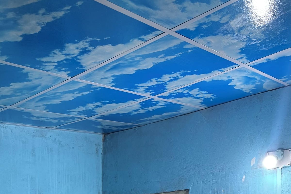 Una habitación con techo azul, una ventana pequeña con mosquitera, un cuadro eléctrico en la pared y una alfombra verde con un tapete estampado.