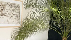 A corner sofa with a white base and brown cushions, positioned next to a large potted plant with long green leaves. - CALALUN (La Fortuna)