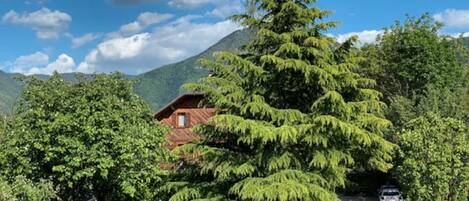 المنطقة المحيطة بالمنشأة