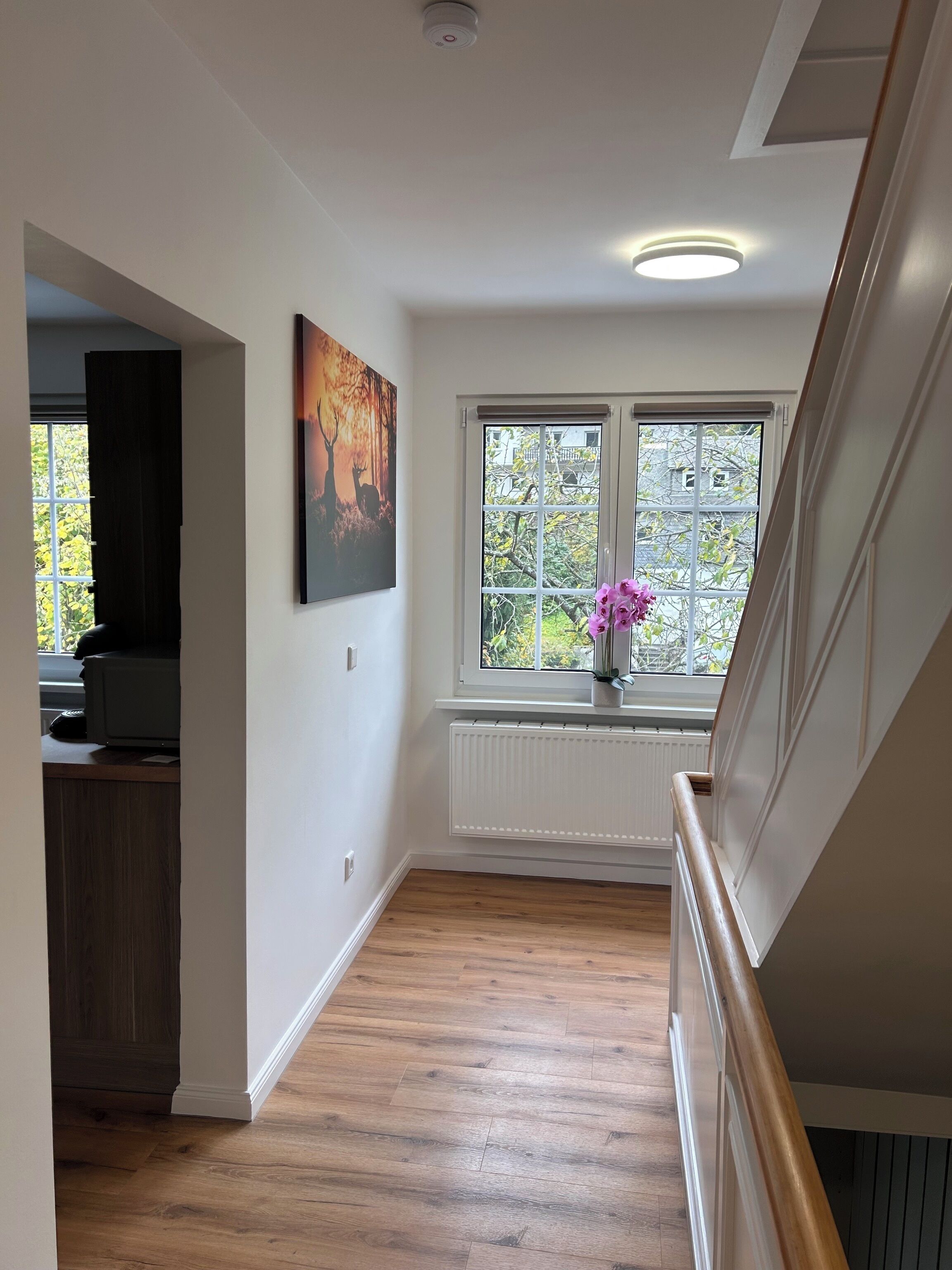 Ein Flur mit Holzboden, einem Heizkörper, einem Fenster mit Blick auf Bäume und einem Bild an der Wand.