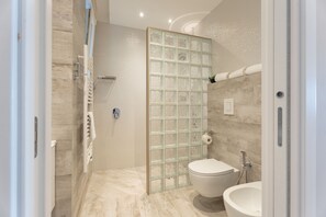 Regadera, secadora de cabello, bidet, toallas 
