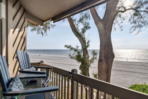 Property grounds - 🌴 Gulf-Front Paradise Awaits in Indian Shores! 🌊 (Indian Shores)