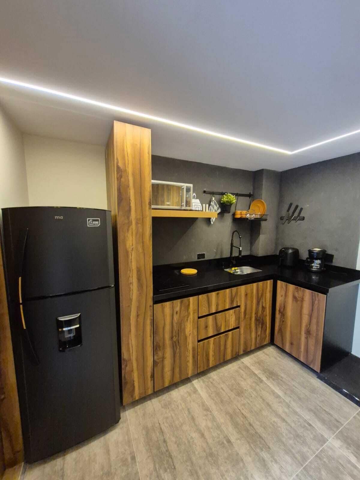 Suite (302) | Cocina privada | Frigorífico grande, microondas, placa de cocina y cafetera o tetera