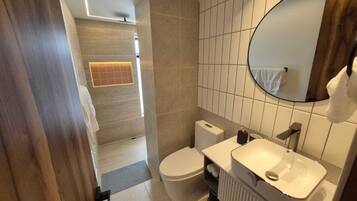 A modern bathroom with a toilet, sink, and mirror.