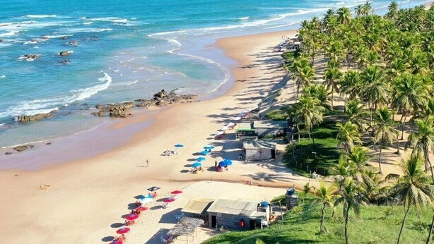 A beach with a row of palm trees, a sandy shore, and a few umbrellas. - Recanto Verde (Mata de Sao Joao)