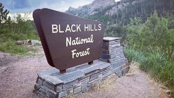 Schild für den Black Hills National Forest.