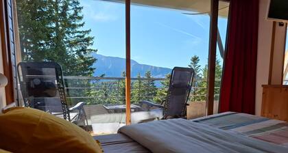 V du Bachat Epicea B Ndeg22 - 3P6