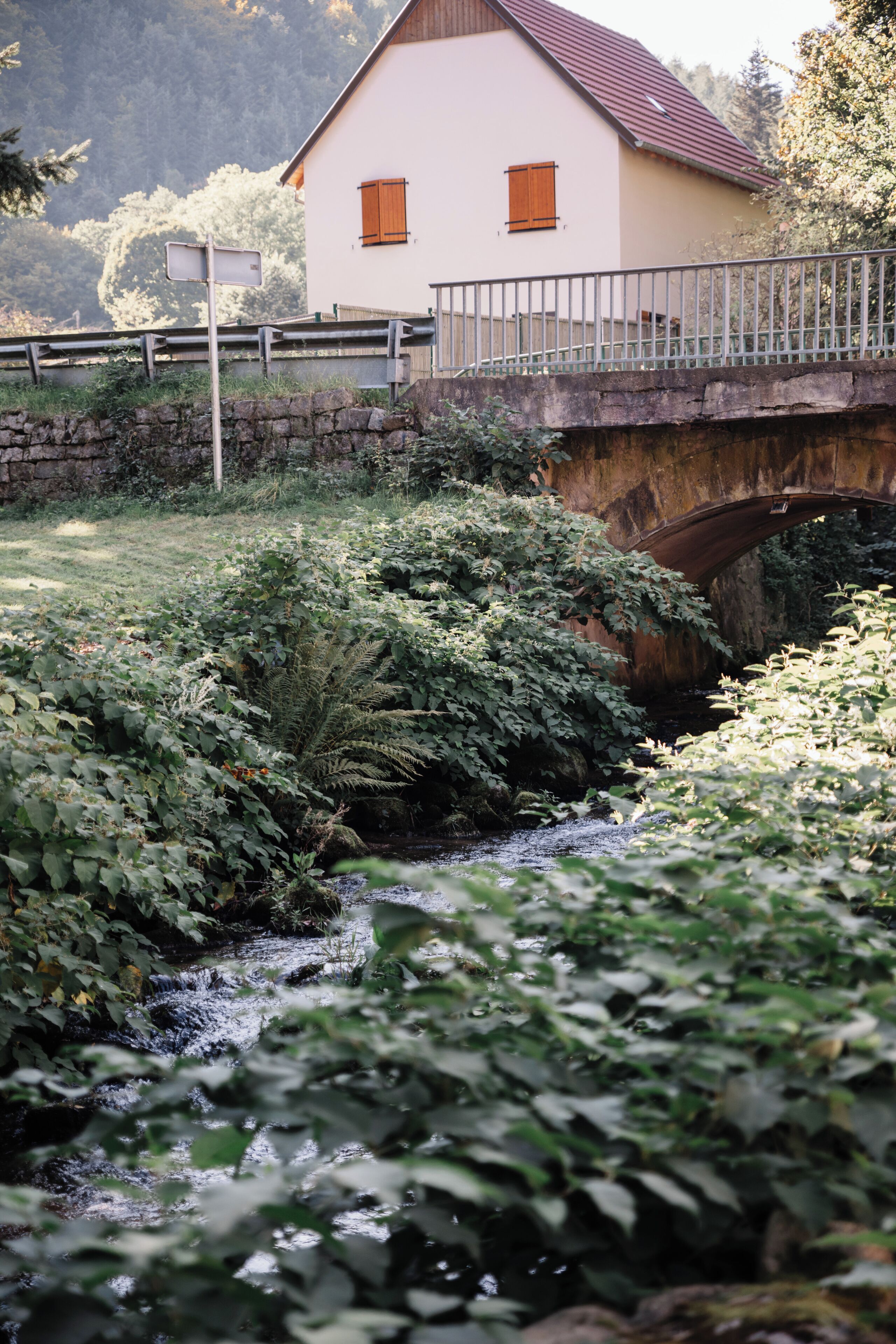 Jardines del alojamiento