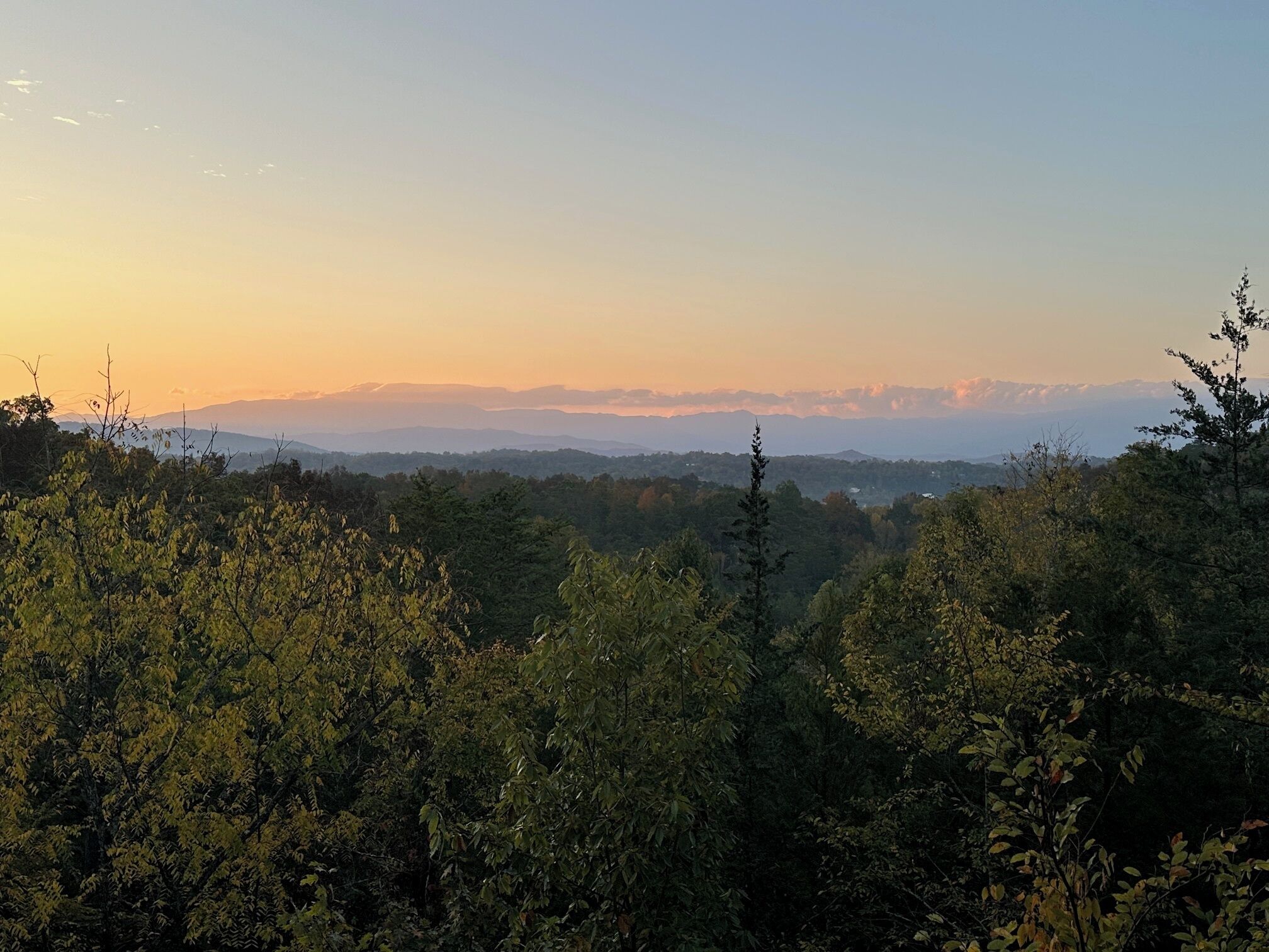 A forested landscape with a view of distant mountains under a clear sky.