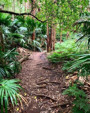 Property grounds - Forest Trails Escape Bushland Serenity near Beach (Austinmer)