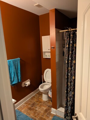 تجهيزات دش، حوض استحمام بنظام ضخ المياه، مجففات شعر، مراحيض شطف