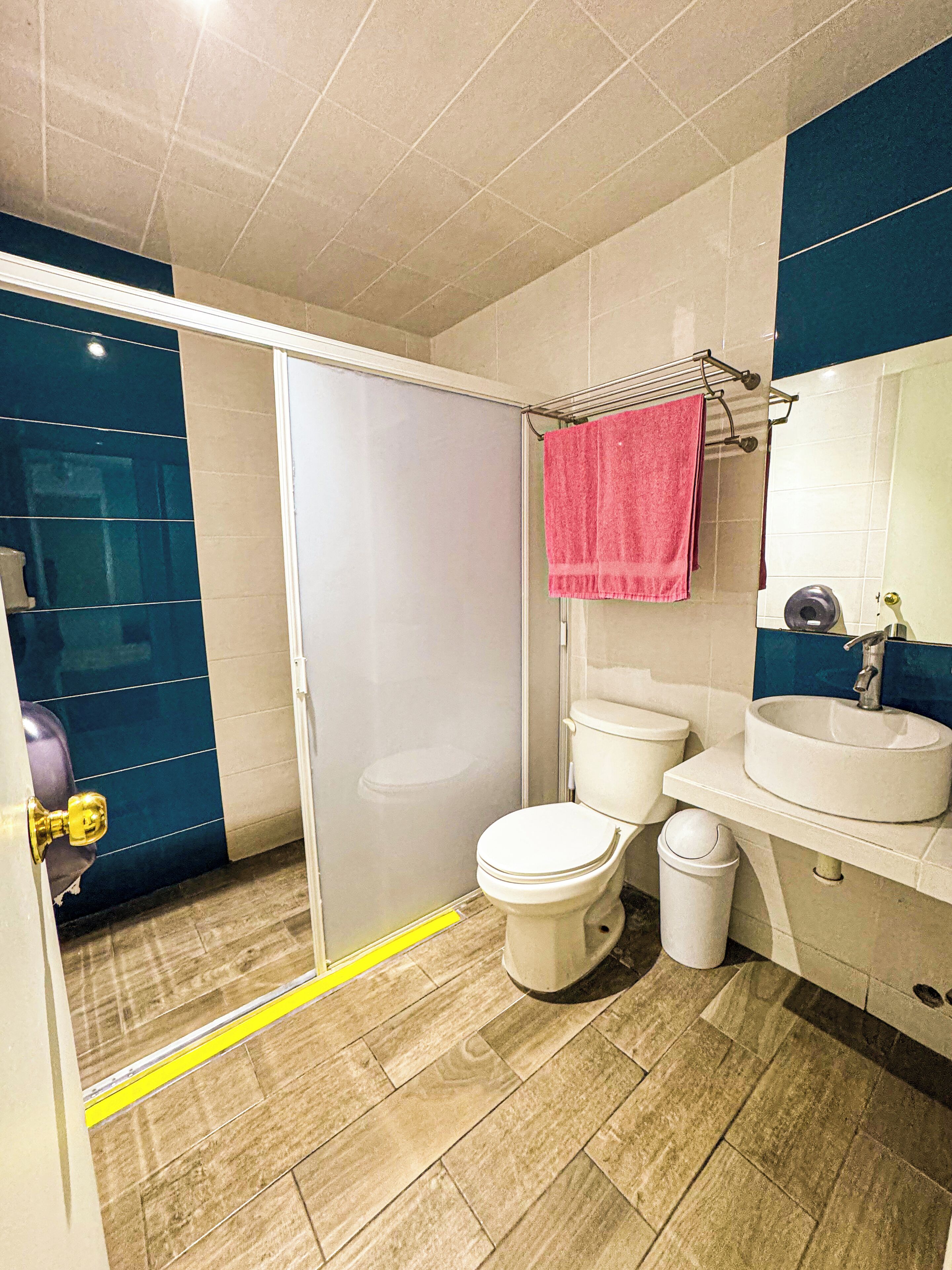 淋浴設備、毛巾、肥皂、衛生紙