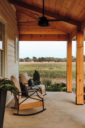 Terrace/patio - Completely renovated heritage home in the Ozarks Mountain region of SW Missouri. (Billings)