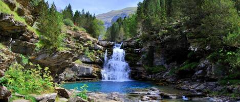 Una cascada se precipita en una poza cristalina rodeada de terreno rocoso y un bosque frondoso.