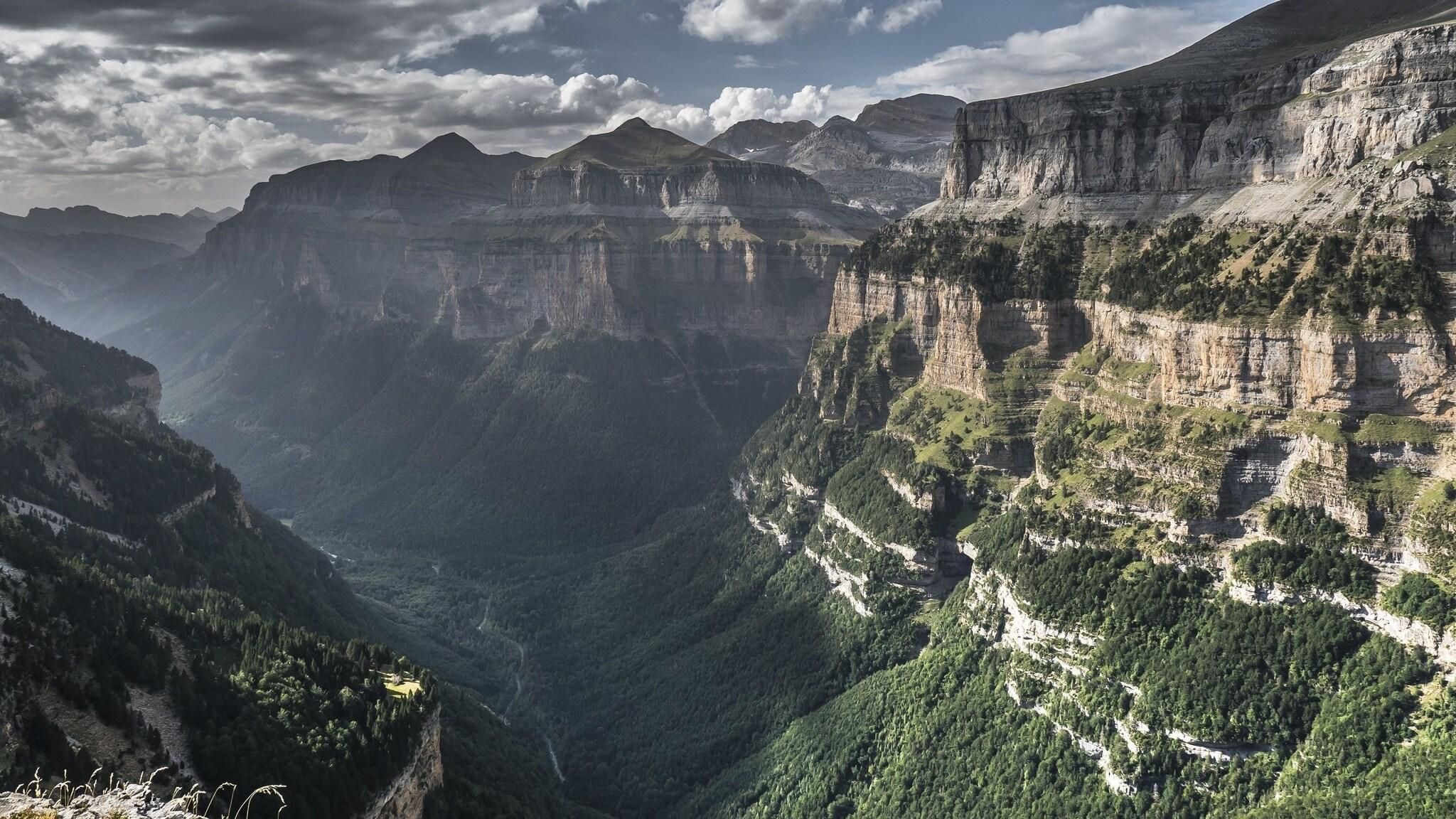 Un cañón con acantilados escarpados y un bosque denso.