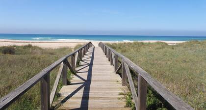 Convento de San Francisco