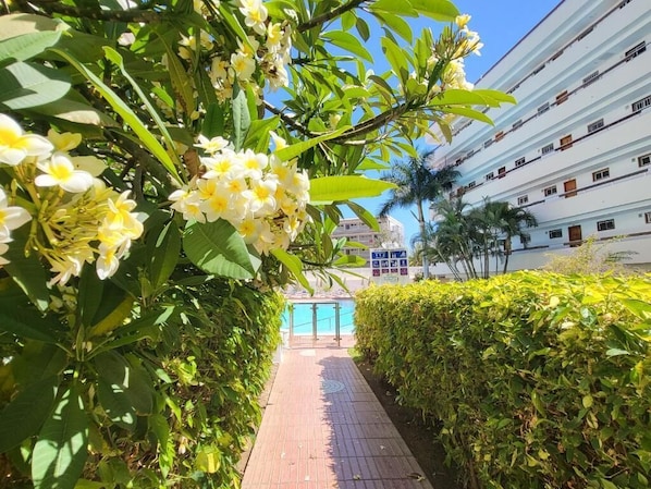 Pool - Las Camelias Apartments (San Bartolomé de Tirajana)
