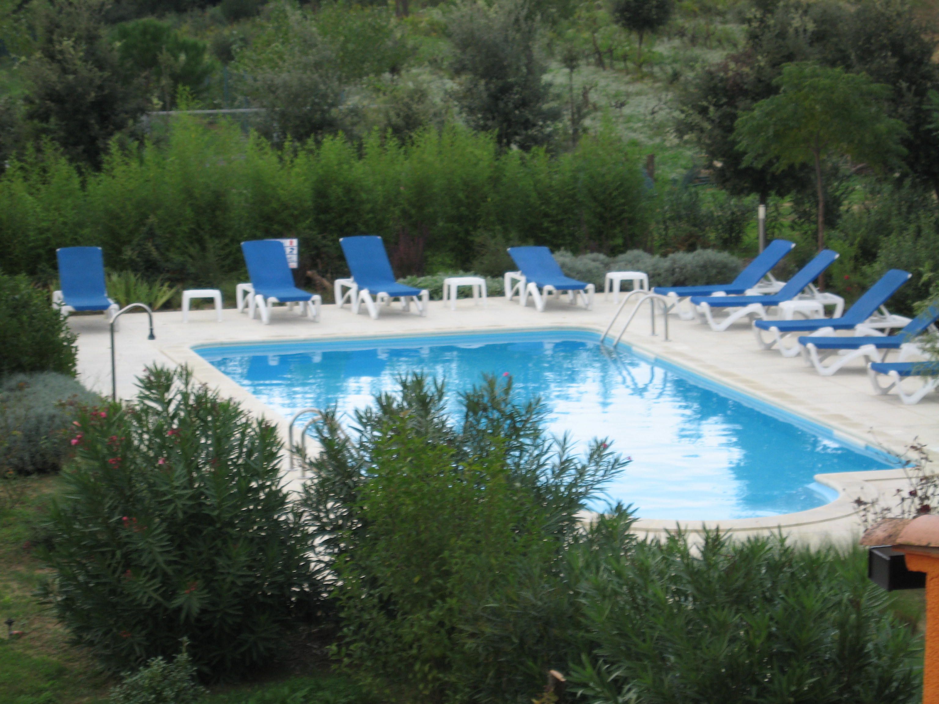 Une piscine entourée de chaises longues bleues et de tables blanches, avec une végétation luxuriante en arrière-plan.