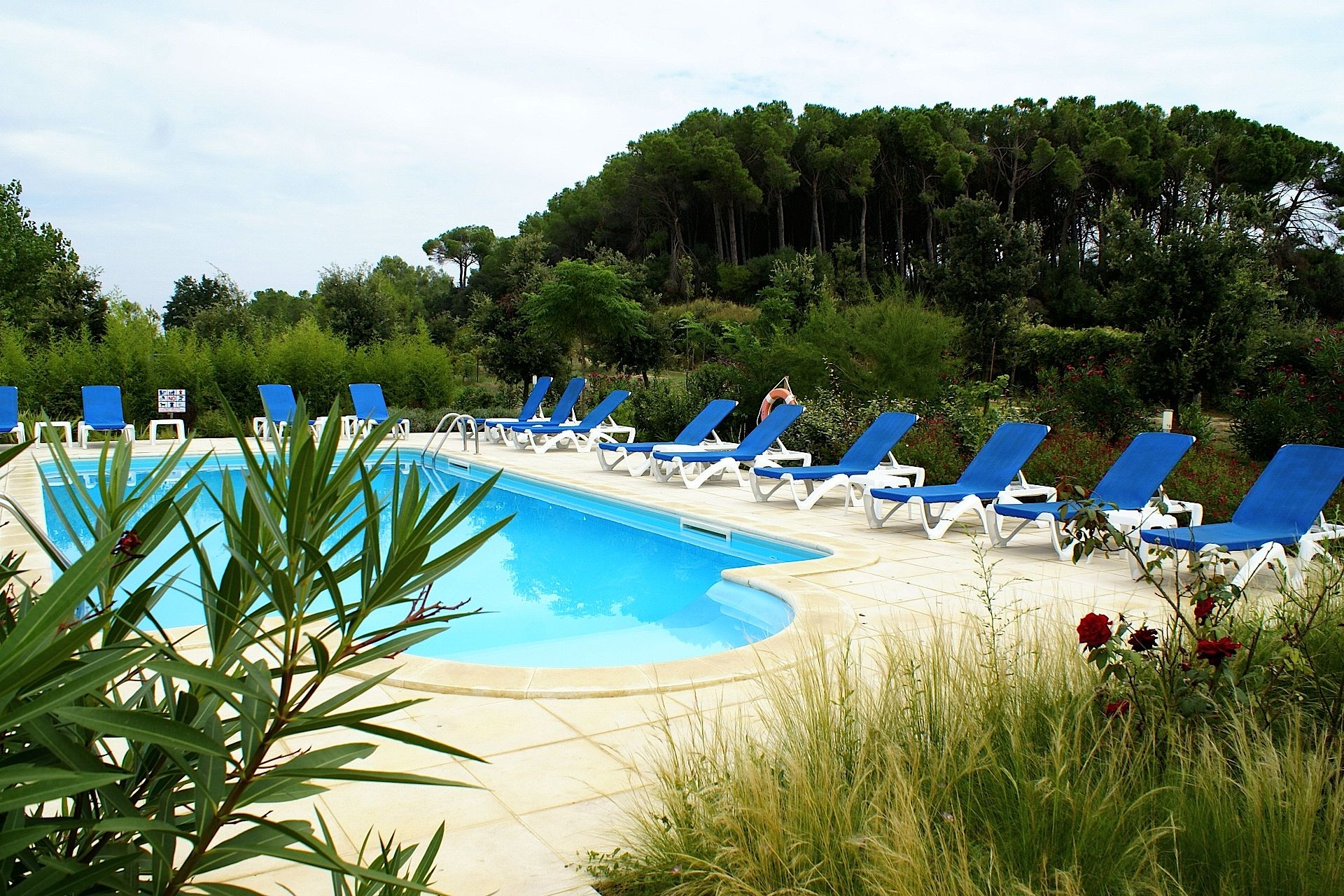 A pool area with blue lounge chairs and a clear blue pool.