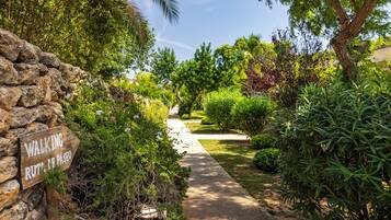 Vista desde la propiedad