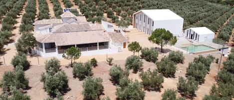 A building with a tiled roof and a pool area, surrounded by olive groves.