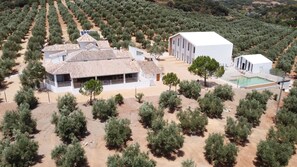 Ein Gebäude mit Ziegeldach und Poolanlage, umgeben von Olivenhainen.