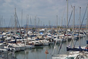 Vista desde la propiedad