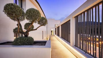 Un edificio moderno con un sendero estrecho, ventanas amplias y un árbol bien cuidado.