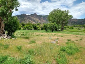 المنطقة المحيطة بالمنشأة