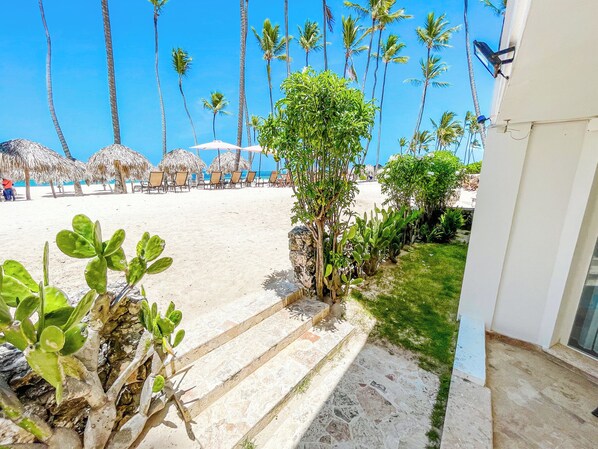 Une plage bordée de palmiers, une structure à toit de chaume et un chemin pavé menant à un bâtiment.