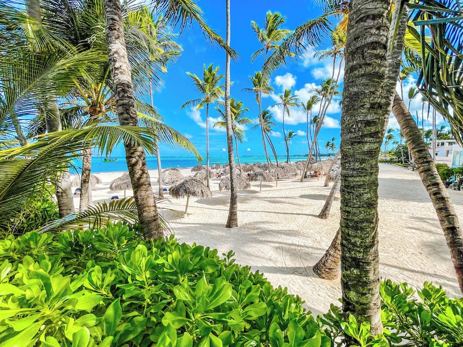 On the beach, white sand, windsurfing, 4 beach bars