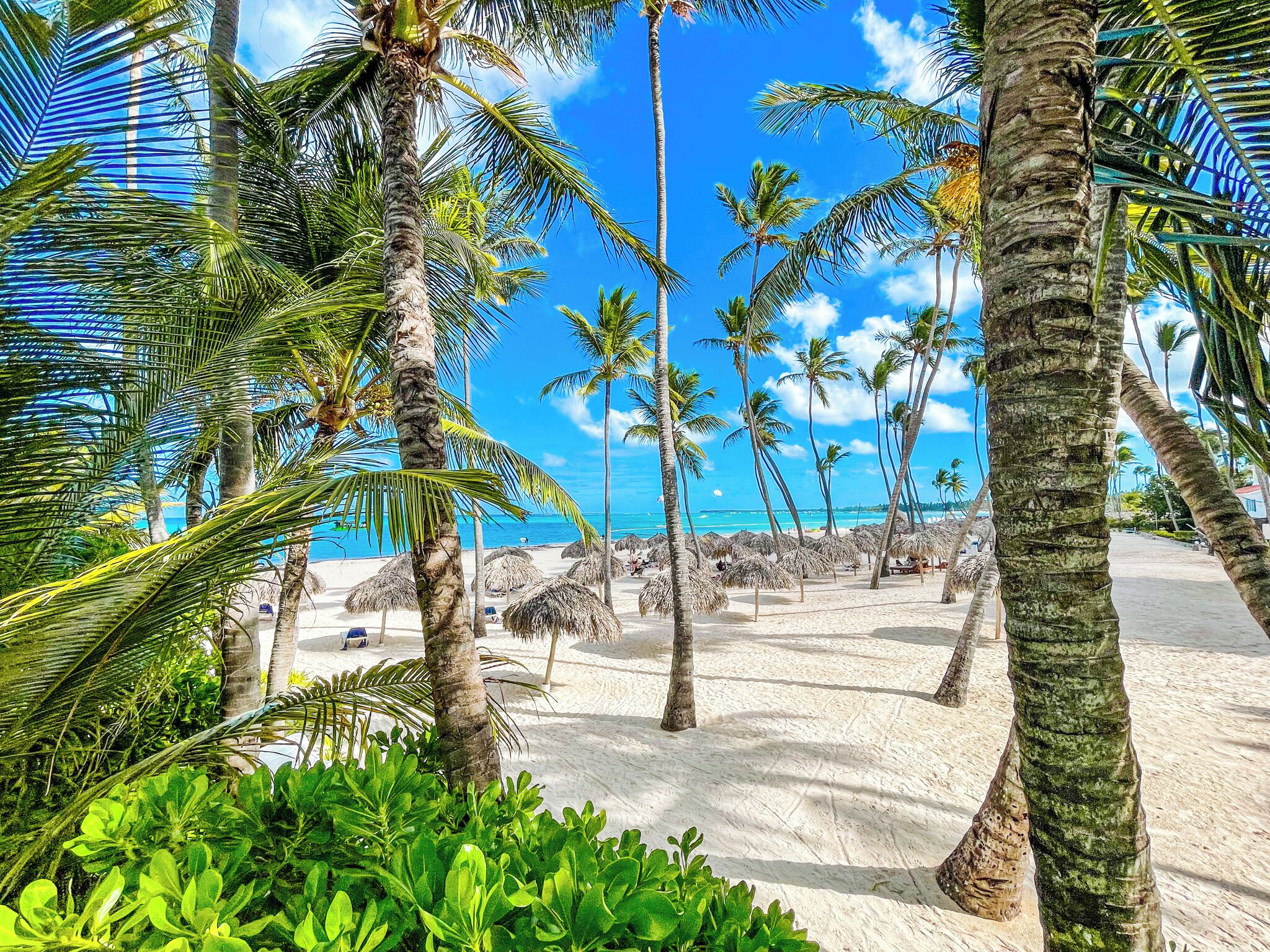 On the beach, white sand, windsurfing, 4 beach bars