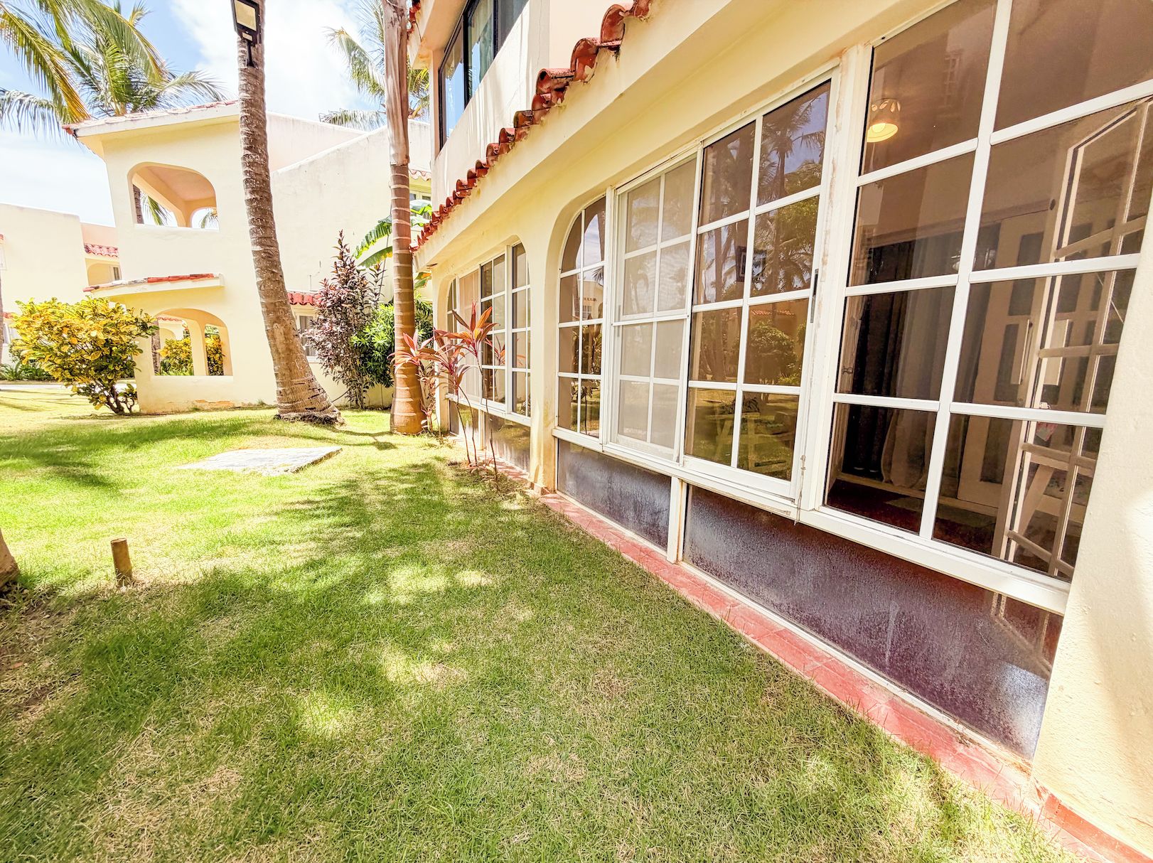 A building with large windows, a well-maintained lawn, and a palm tree.