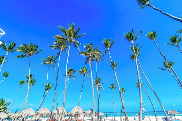 On the beach, white sand, windsurfing, 4 beach bars