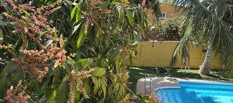 Charming studio 1 in Saly with swimming pool near safari beach