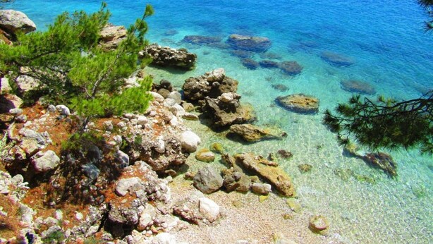 Paisaje costero con aguas azul turquesa, costa rocosa y pinos.
