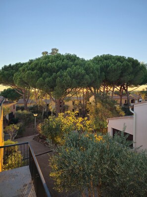 A courtyard with a large tree, a pathway, and buildings with yellow facades. - Quiet T2 with pool! (Agde)