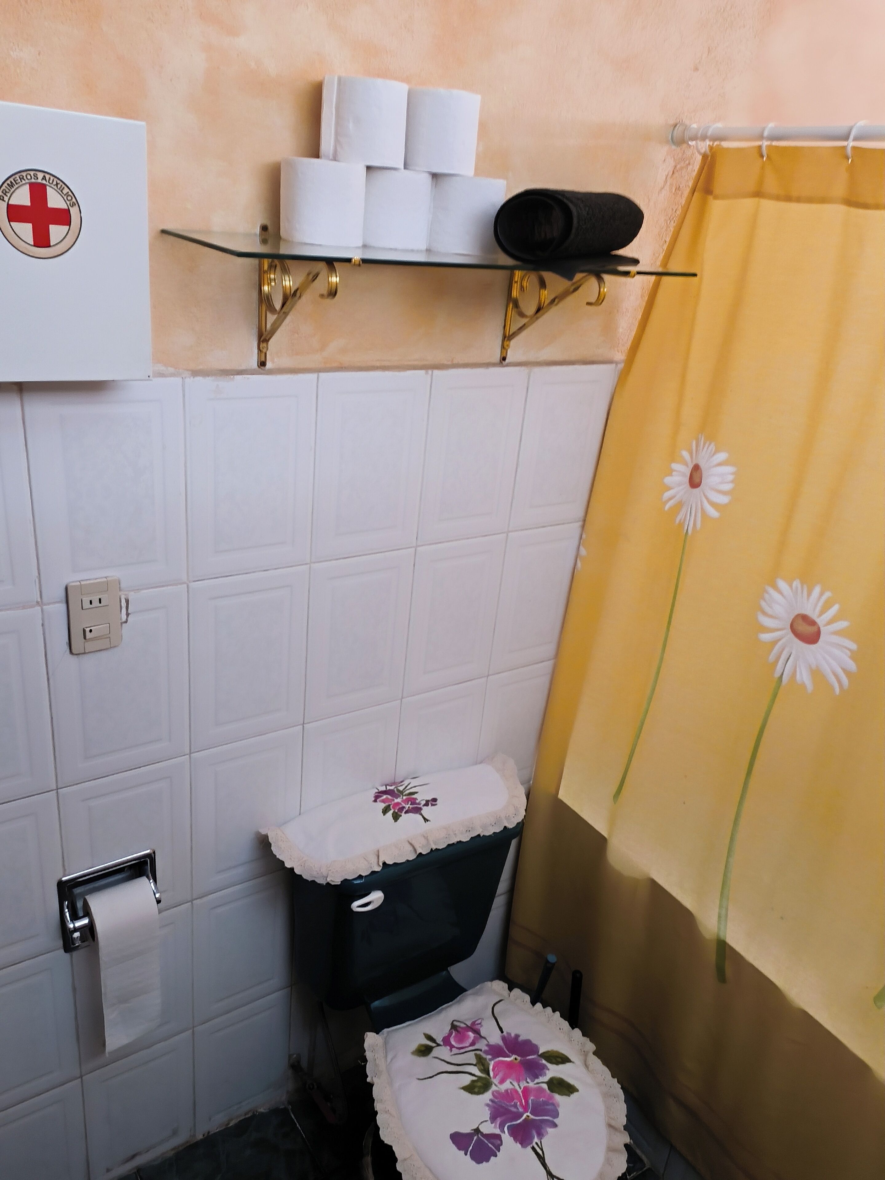 Dusche, Handtücher, Seife, Toilettenpapier