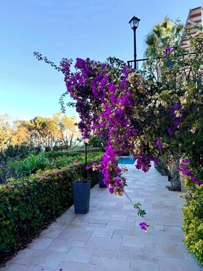 المنطقة المحيطة بالمنشأة