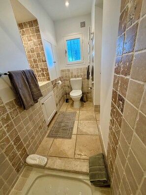 Hair dryer, towels, soap, toilet paper