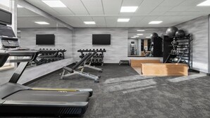 A modern gym with treadmills, dumbbells, and exercise balls.