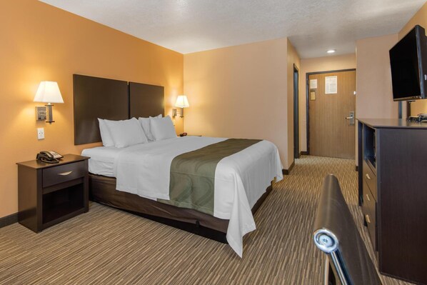 A hotel room with a bed, bedside lamps, a telephone, a television, and a desk. - Quality Inn & Suites Albuquerque North Near Balloon Fiesta Park (Albuquerque)