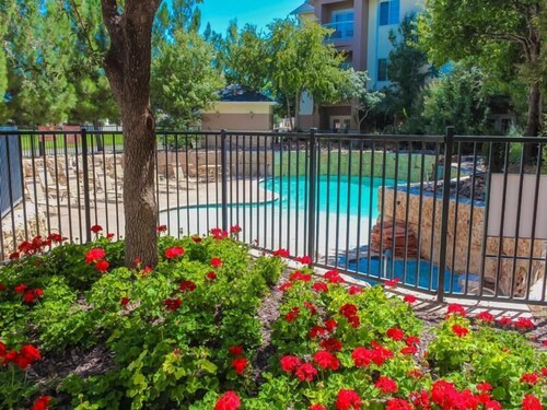 Arbor Inn and Suites